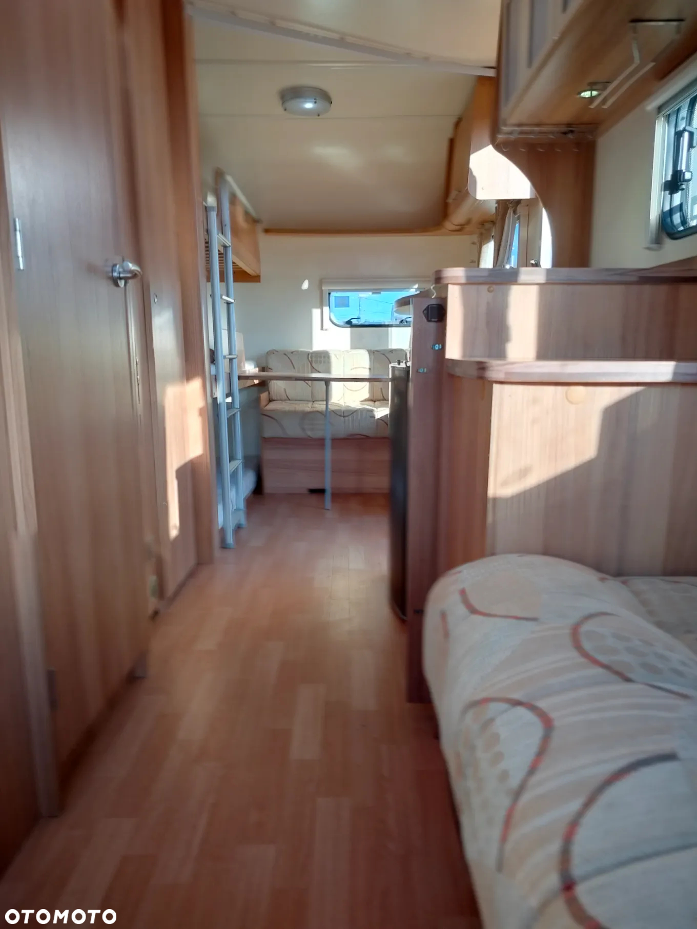 Bailey Orion - 6