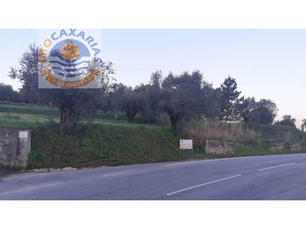 Terreno Edificavel com ótimos acessos. - Grande imagem: 5/6