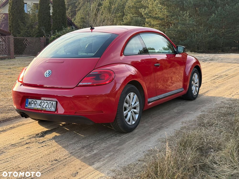 Volkswagen Beetle - 5