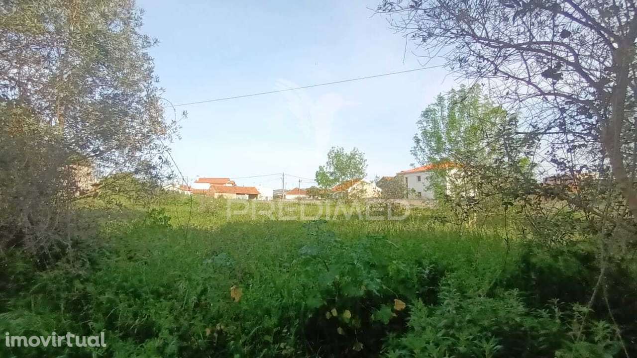 Terreno situado em Tojal, Porto de Mós - Grande imagem: 4/10