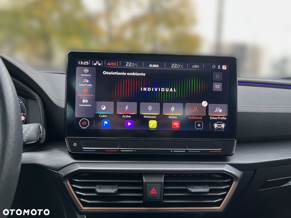 Cupra Formentor 2.0 TSI 4Drive VZ Tribe Edition DSG - 29
