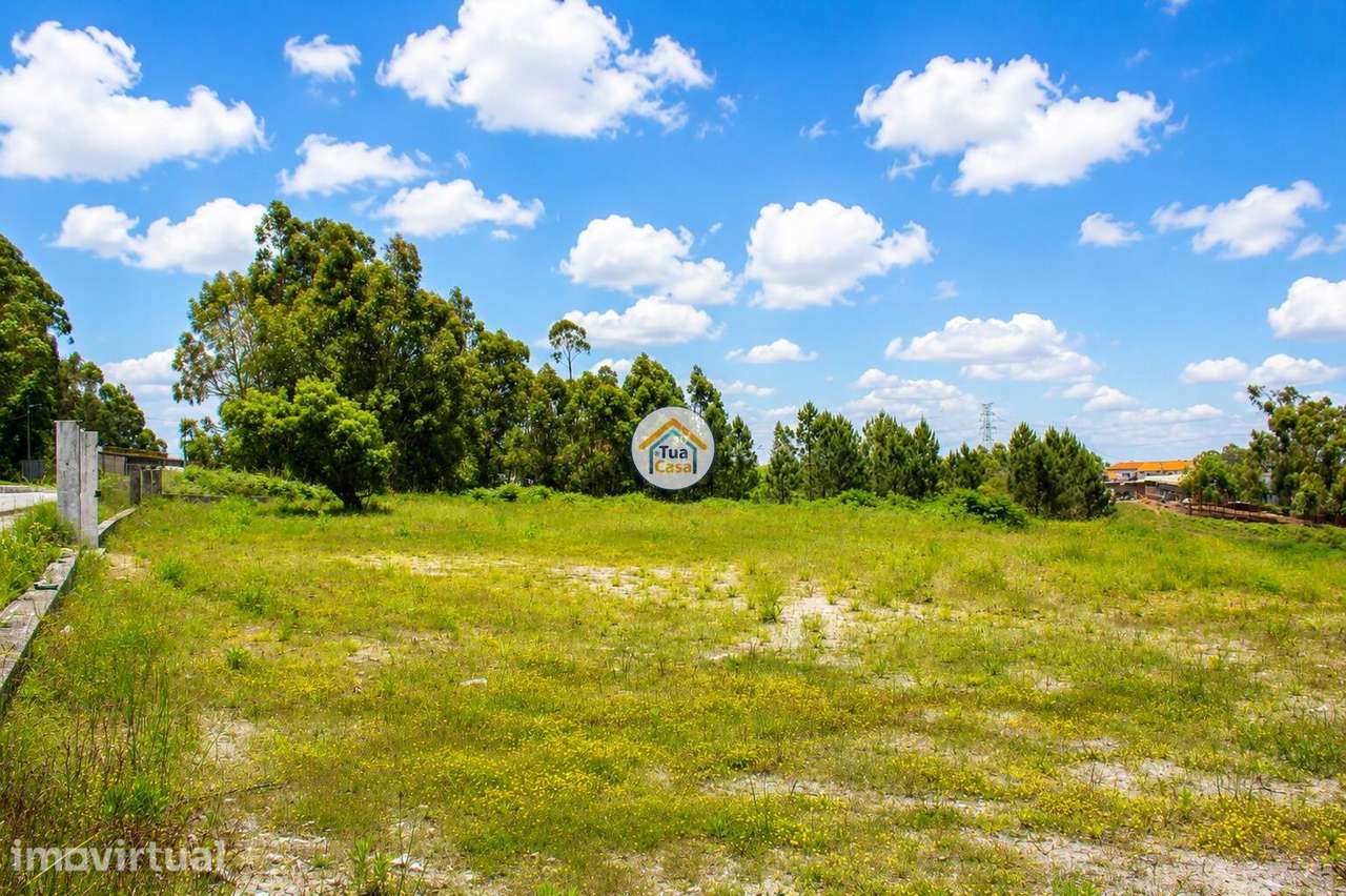Terreno com cerca de 6.000 m2 à face da EN222, em Olival – Vila Nova d - Grande imagem: 4/10