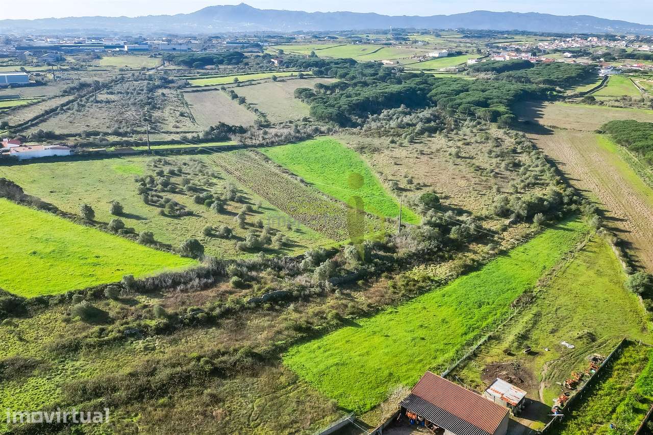 Terreno Rústico com 6 Hectares | São João das Lampas e Terrugem – Sint - Grande imagem: 4/9