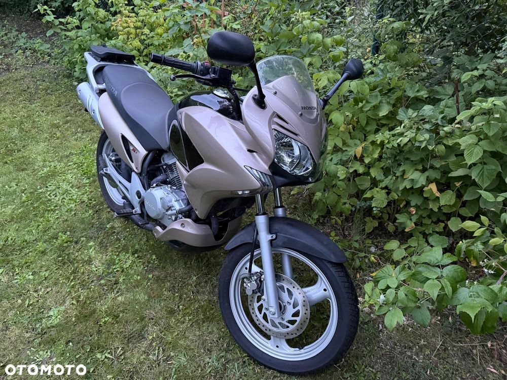 Honda Varadero - 3