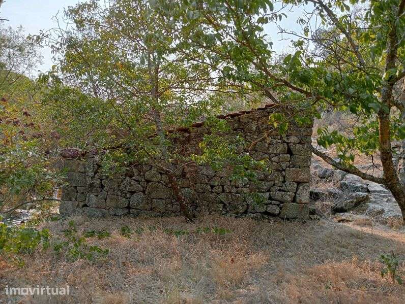 Terreno Lamego com Moinho - Grande imagem: 4/12