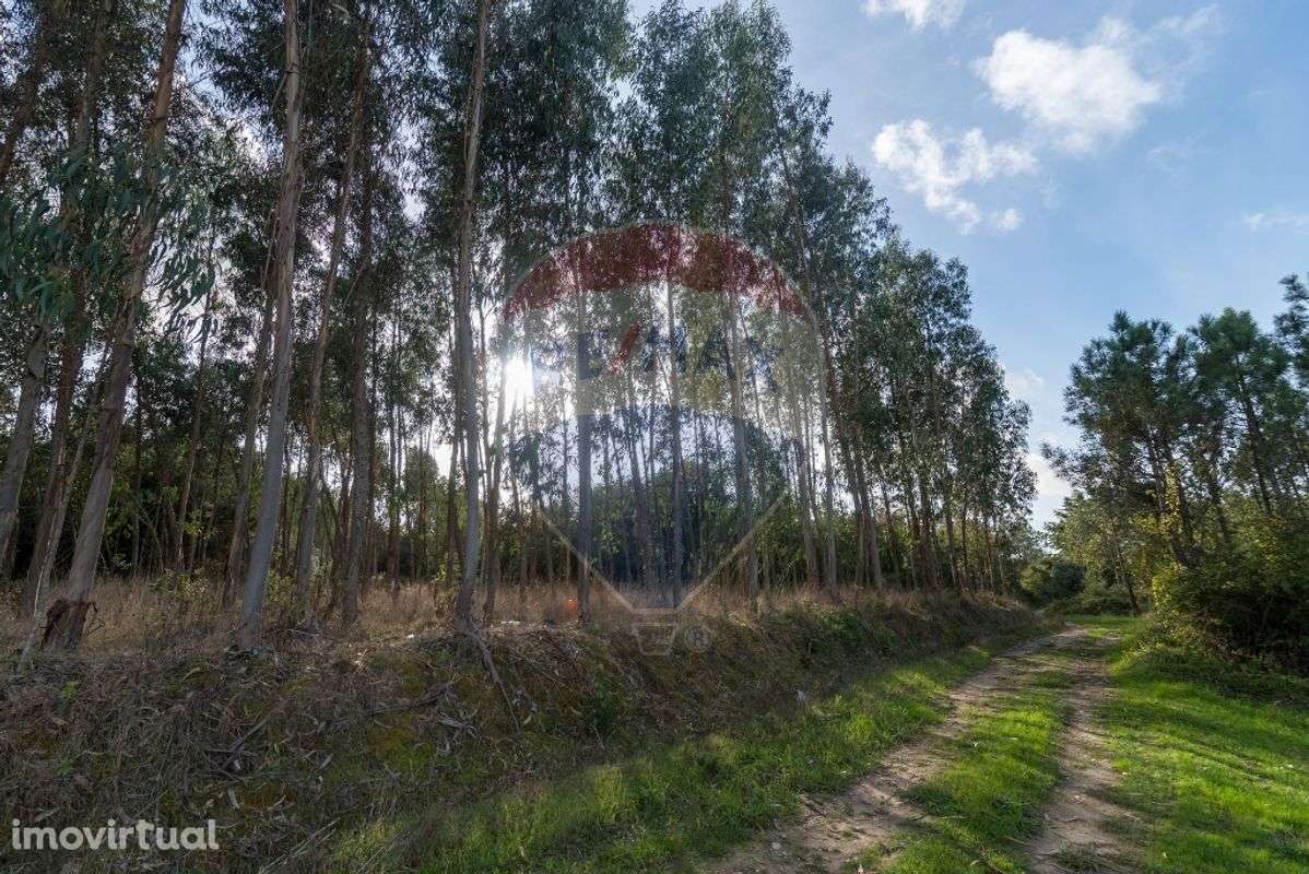 Terreno  para venda - Grande imagem: 5/13