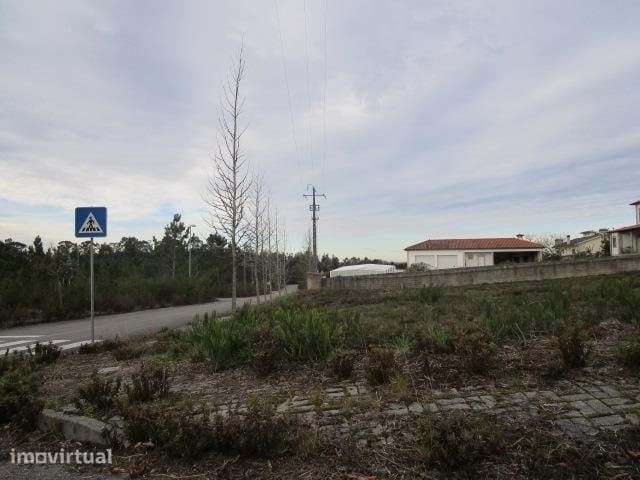 Terreno com 13.880 m² em Valongo do Vouga, Águeda  Excelente Oportu... - Grande imagem: 3/5