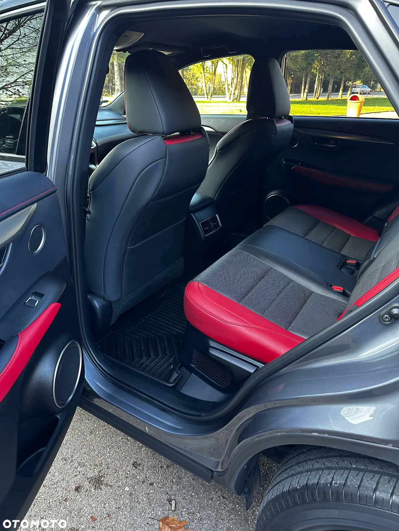 Lexus NX 300 F Sport AWD - 2