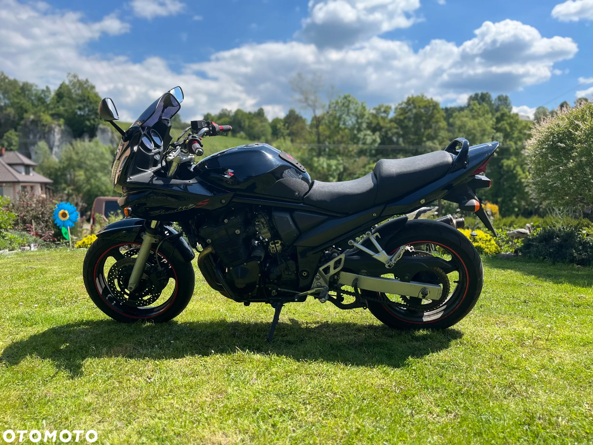 Suzuki Bandit - 8