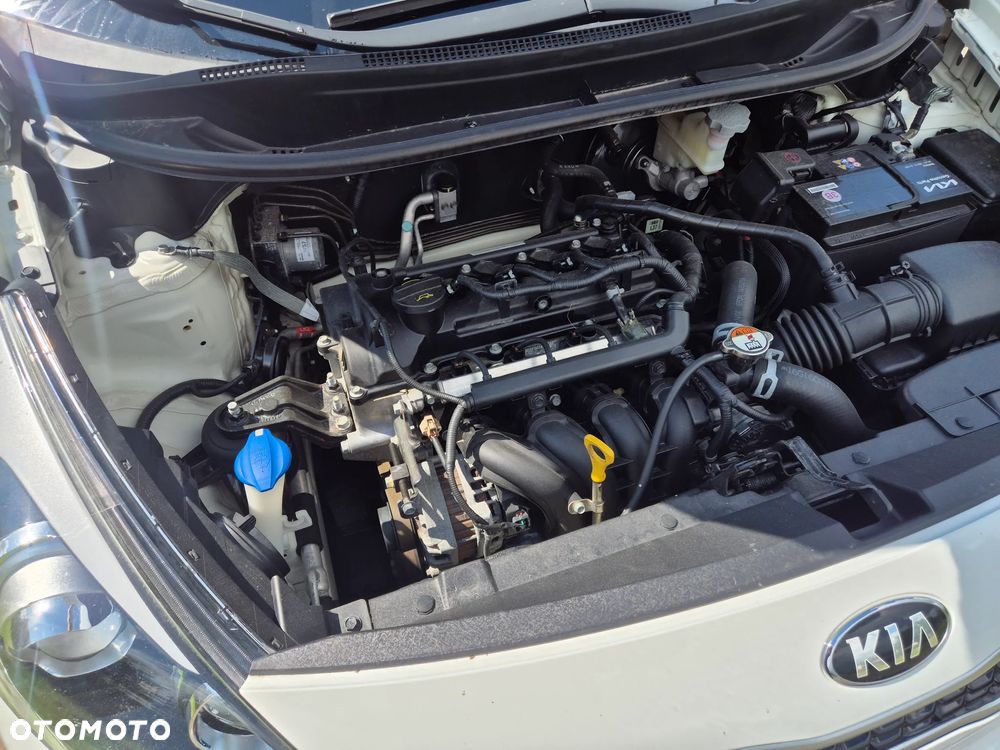 Kia Rio 1.2 XL Business Line - 24