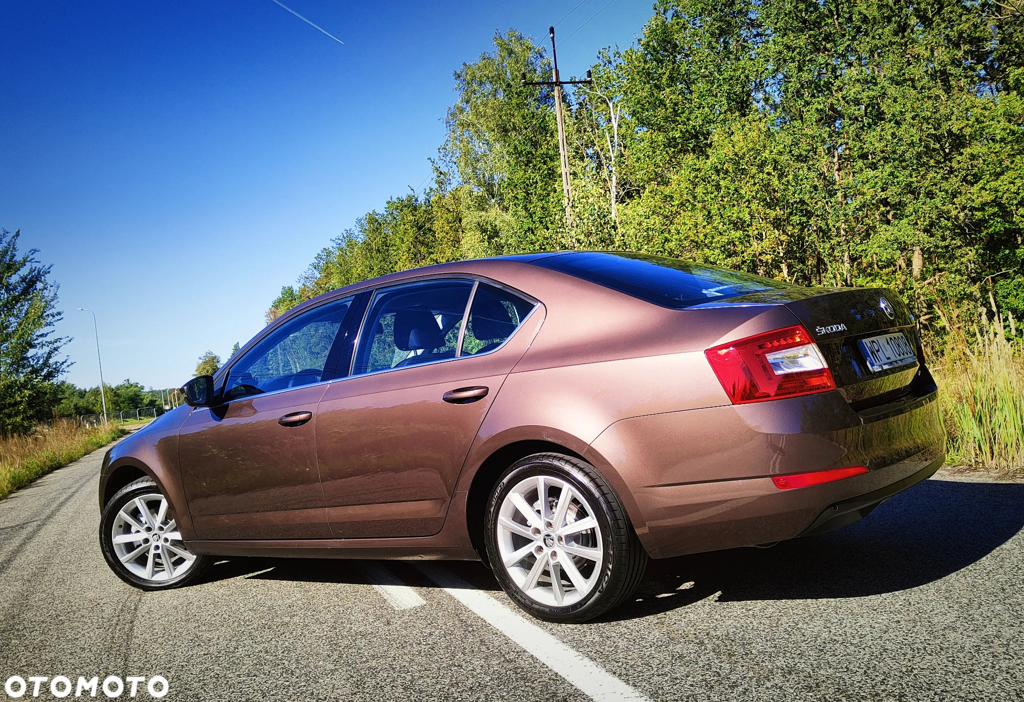 Skoda Octavia 1.4 TSI Elegance - 15