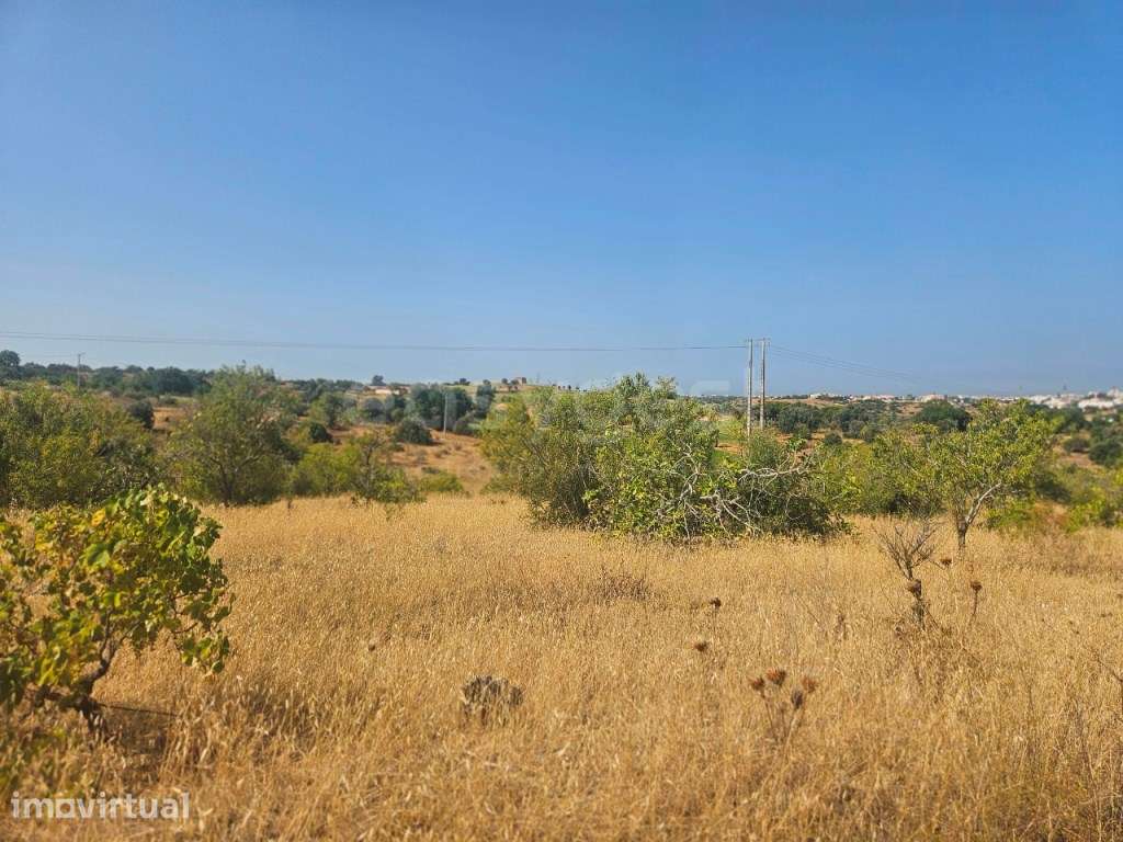 Terreno Rústico com 10.000 m² em Estômbar , Lagoa - Algarve - Grande imagem: 4/12