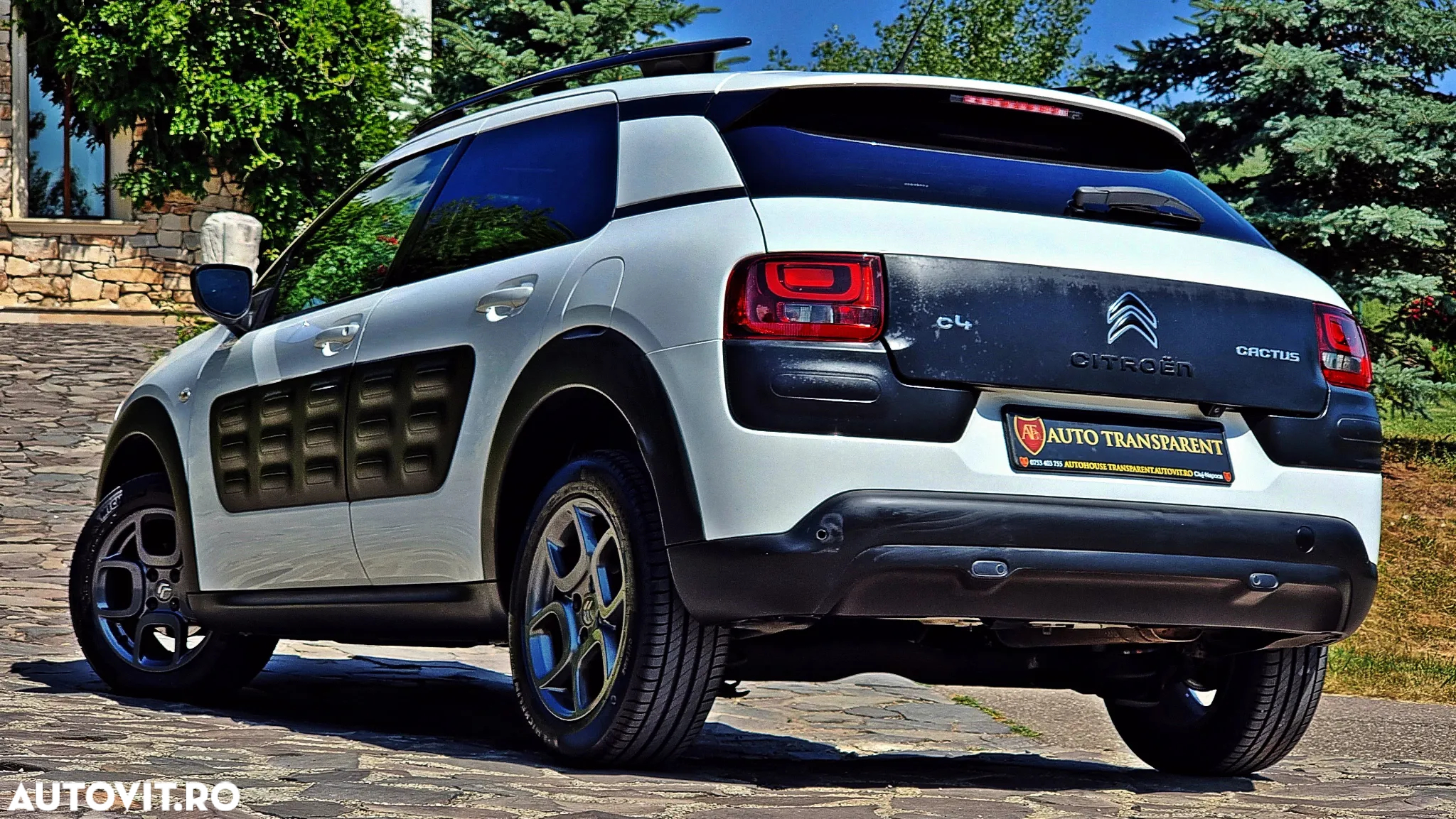 Citroën C4 Cactus Pure Tech 110 Stop&Start EAT6 Shine - 17