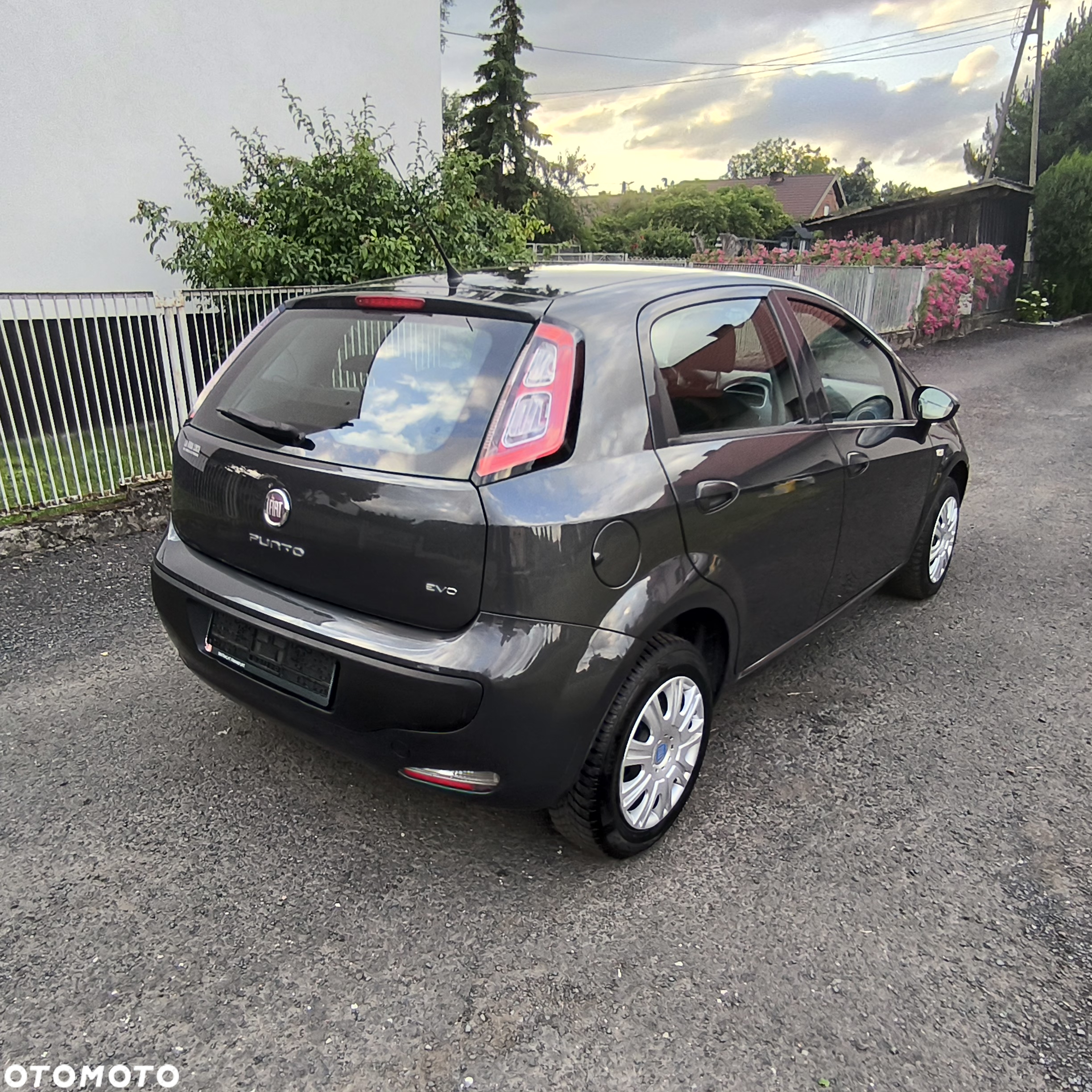 Fiat Punto Evo 1.4 8V Estiva - 7