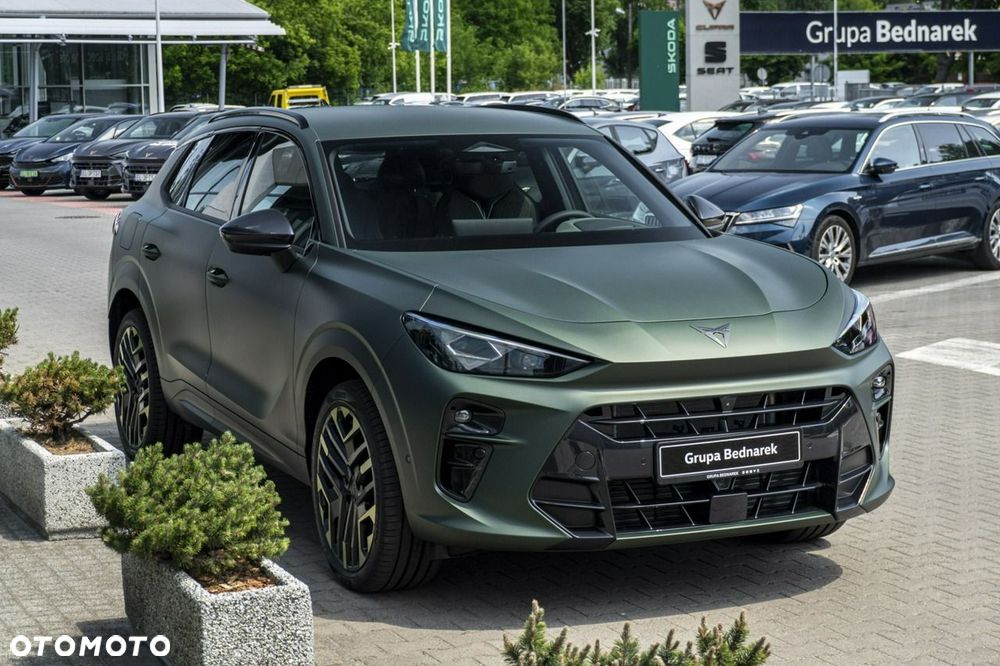 Cupra Terramar - 6
