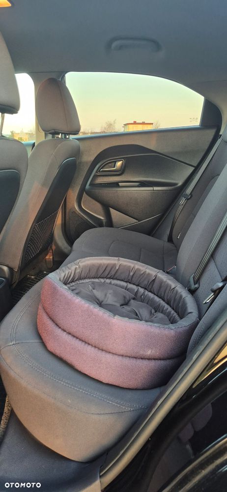 Kia Rio 1.1 CRDI Fifa World Cup Edition - 7