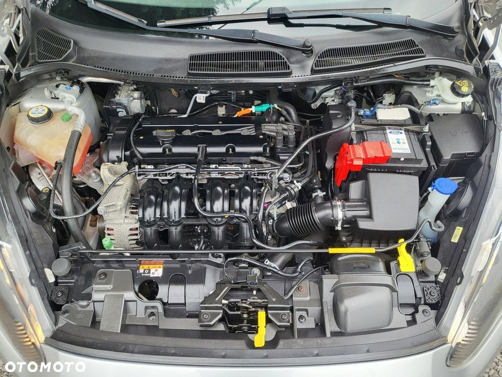 Ford Fiesta - 25
