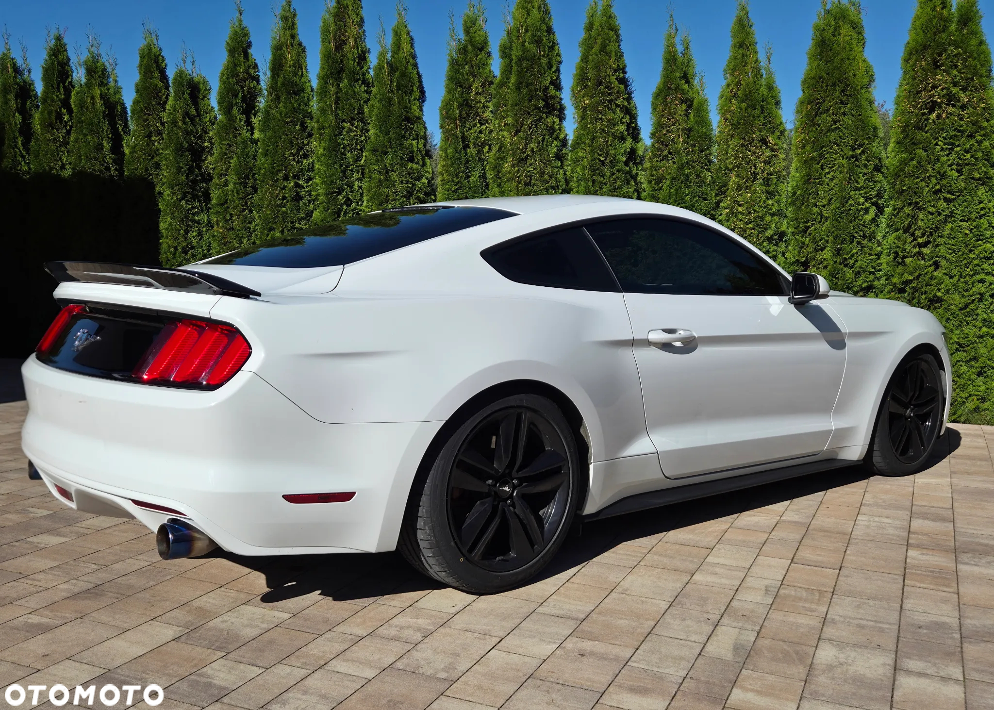 Ford Mustang 3.7 V6 - 19