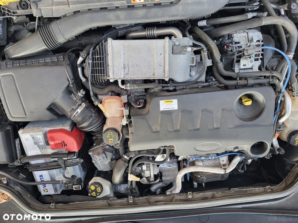 Ford Focus 2.0 EcoBlue ST-Line X - 19