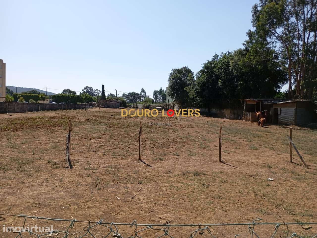 TERRENO PARA CONSTRUÇÃO EM ALTURA | 3.505 m2 | SUZÃO, VALONGO - Grande imagem: 5/5