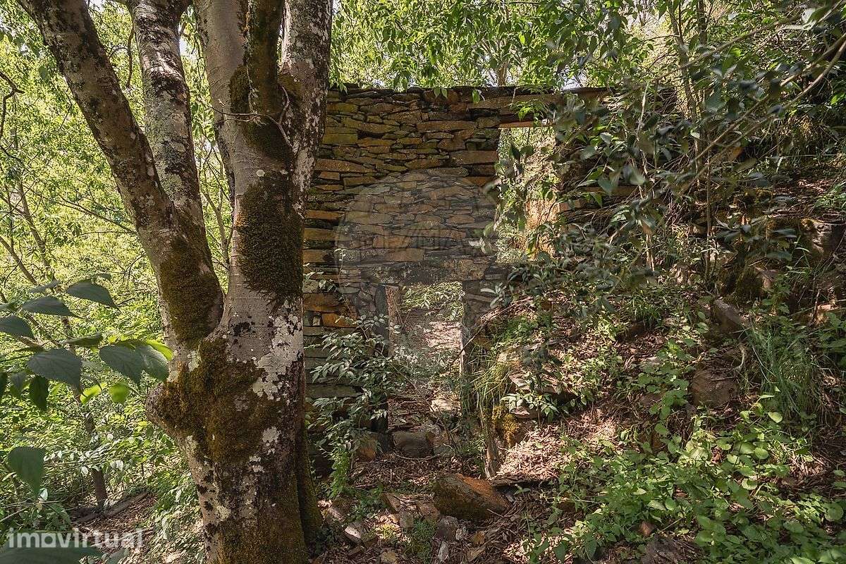 Terreno  para venda - Grande imagem: 4/11