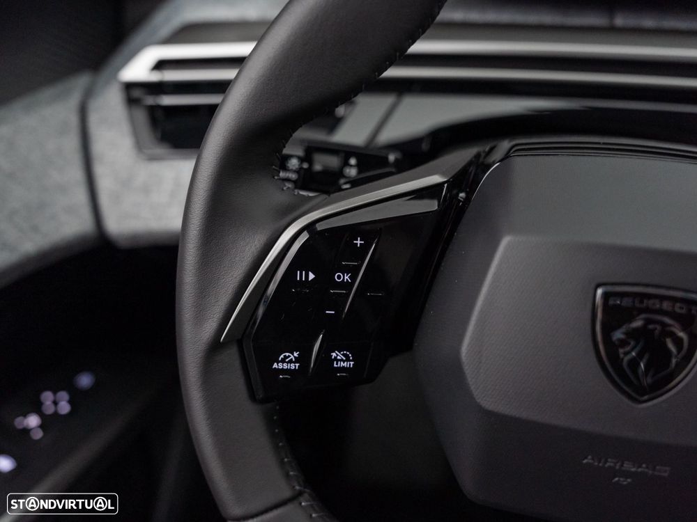 Peugeot 3008 - 22