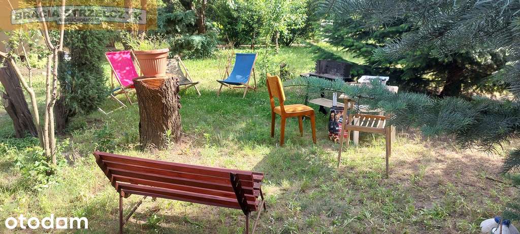 Działka ROD Siekierki II - 300 m² z małym domkiem - Pełny obrazek: 3/3