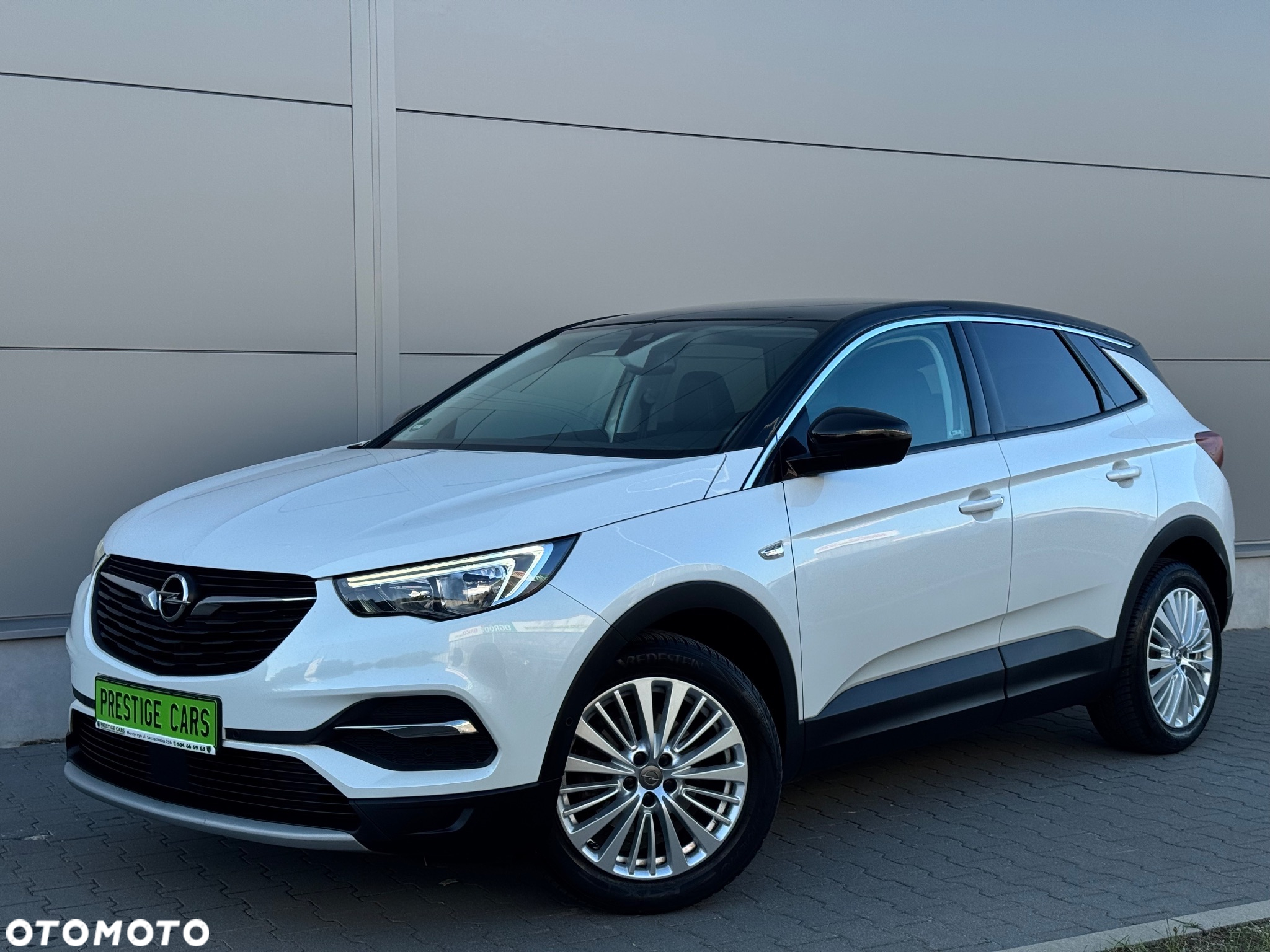 Opel Grandland X 1.6 CDTI Ultimate S&S - 19
