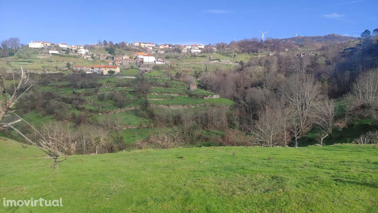 Terreno Rústico  Venda em Loivos do Monte,Baião - Grande imagem: 4/11