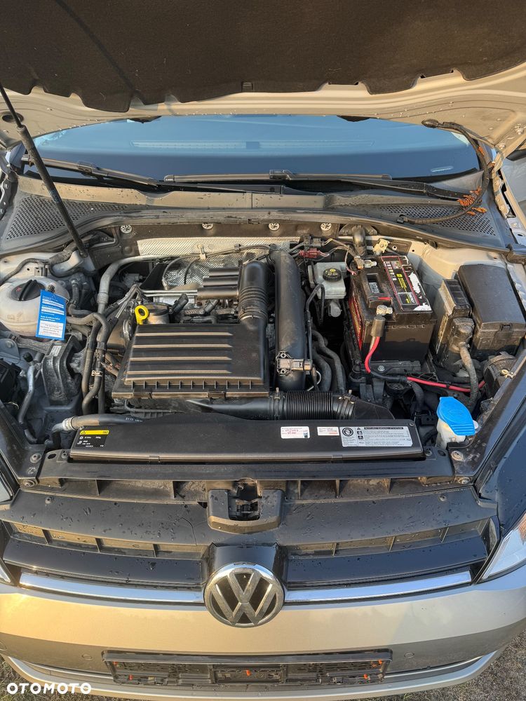 Volkswagen Golf - 14