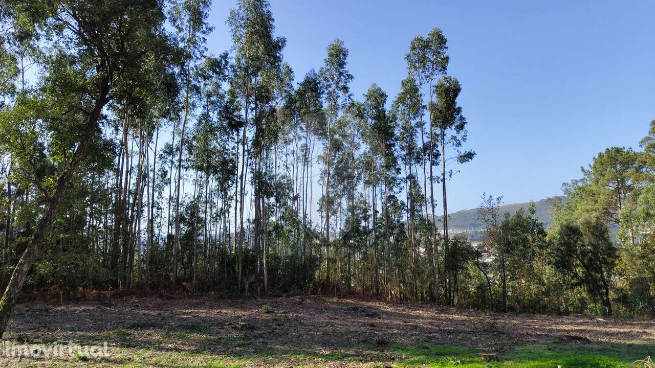 Terreno  para venda - Grande imagem: 3/16