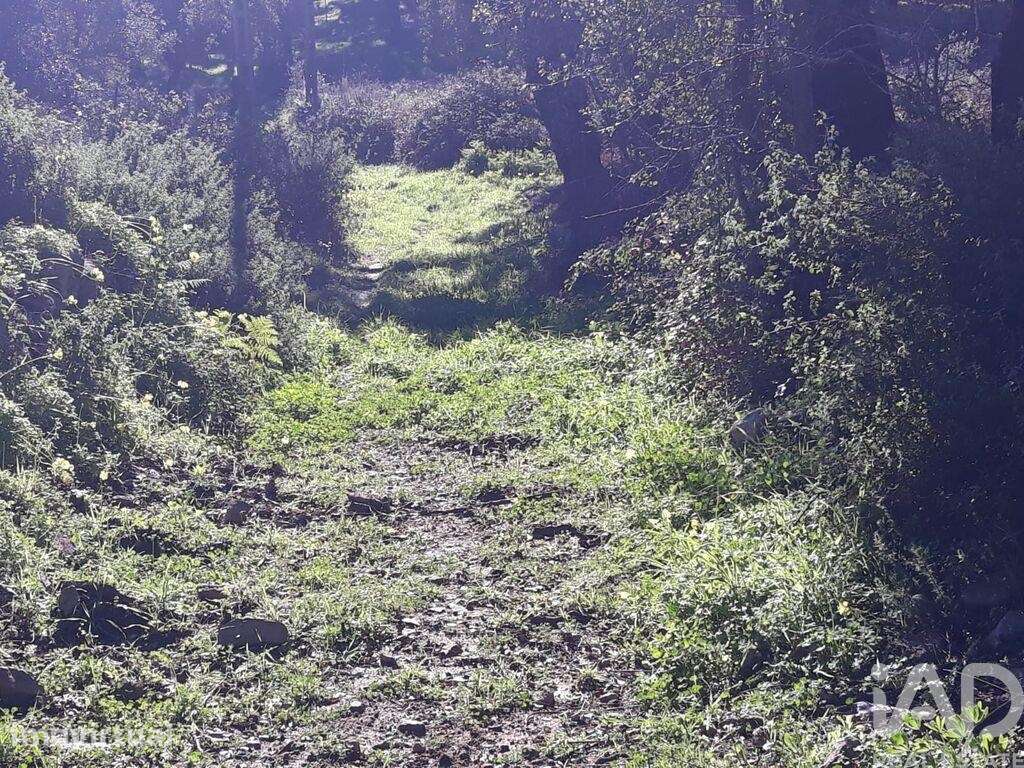 Terreno Agrícola em Monchique - Grande imagem: 2/2