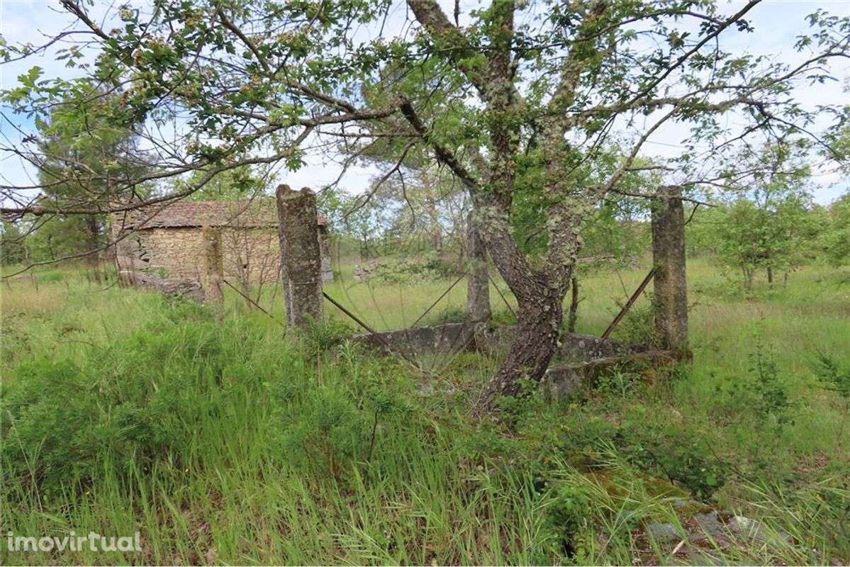 Quinta T0 para venda - Grande imagem: 5/45