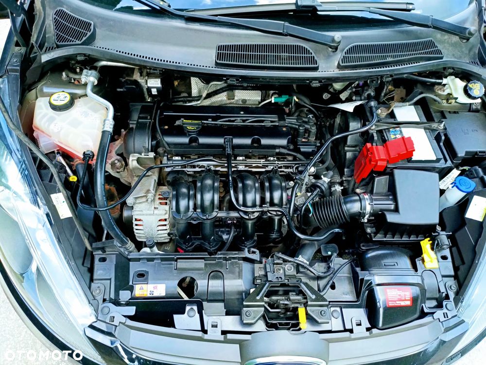 Ford Fiesta - 11
