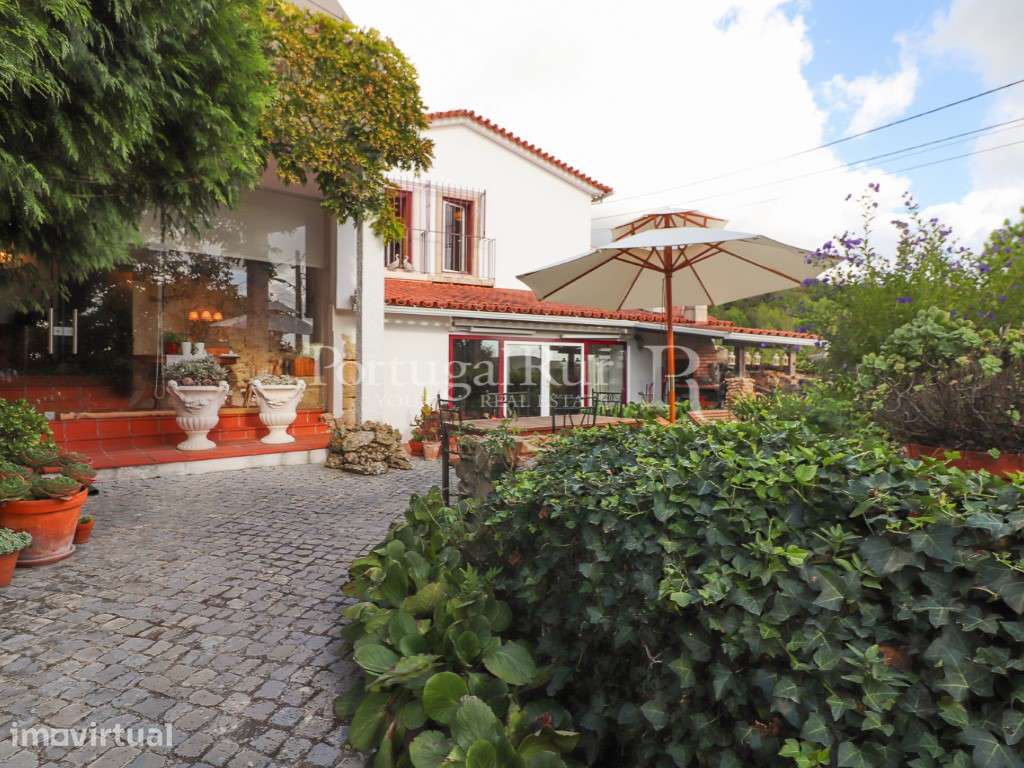 Quinta do Clero - Quinta do século XIX com 2,3 hectares junto a Coi... - Grande imagem: 5/60