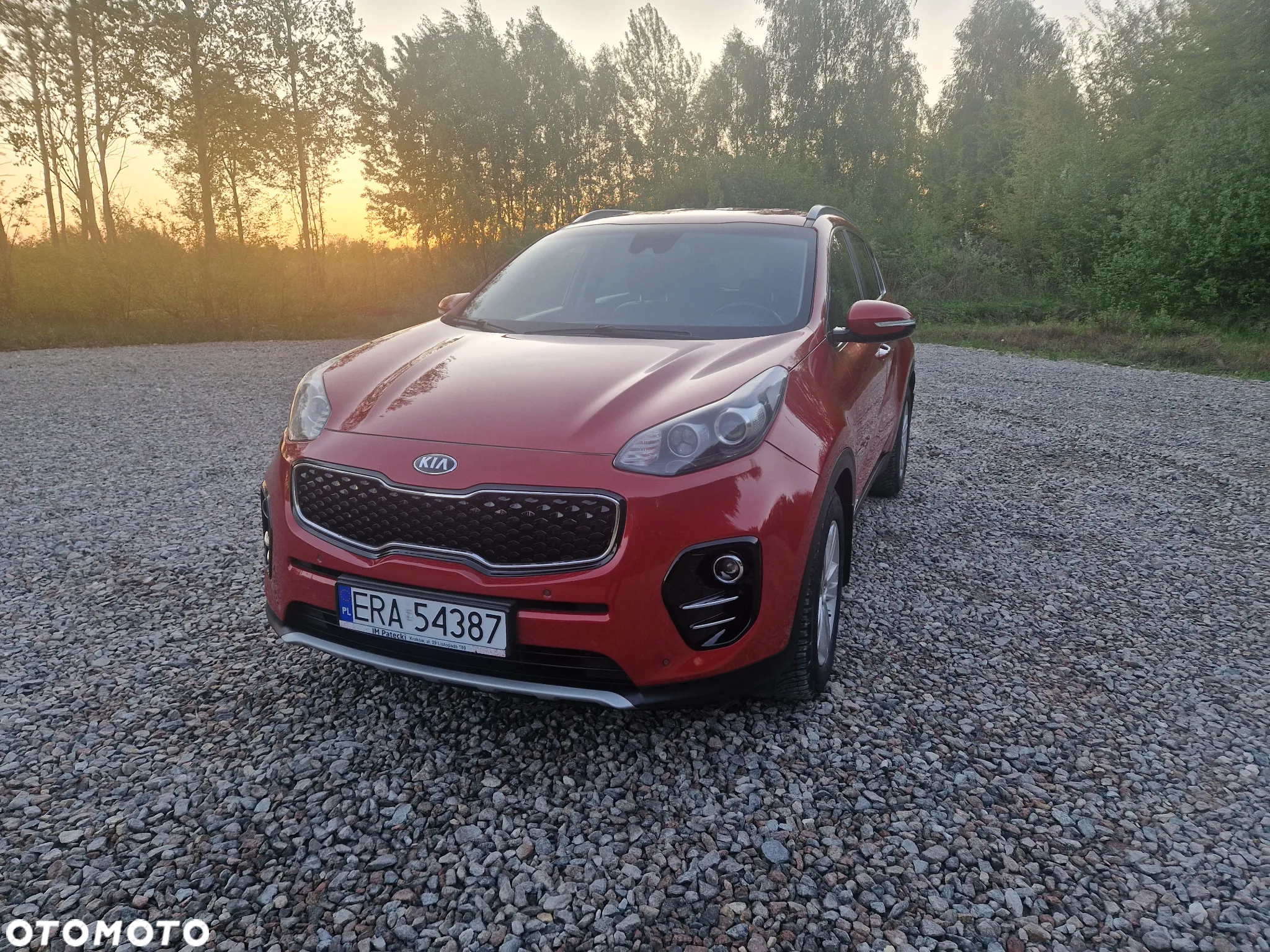 Kia Sportage 1.6 T-GDI L Business Line Plus 4WD DCT - 9