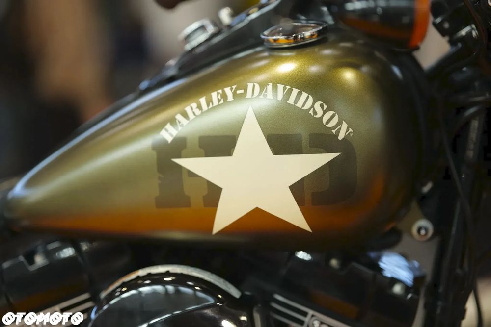 Harley-Davidson Softail Slim - 6