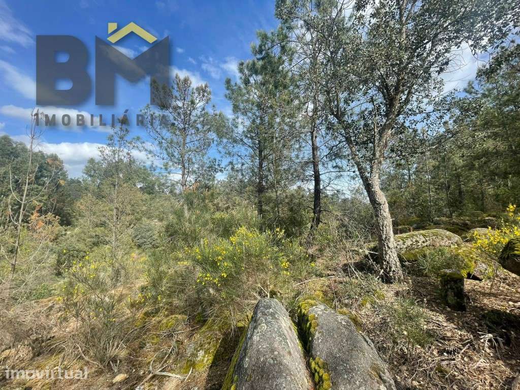 Terreno rustico com 9000m2 em Tinalhas - Grande imagem: 5/10