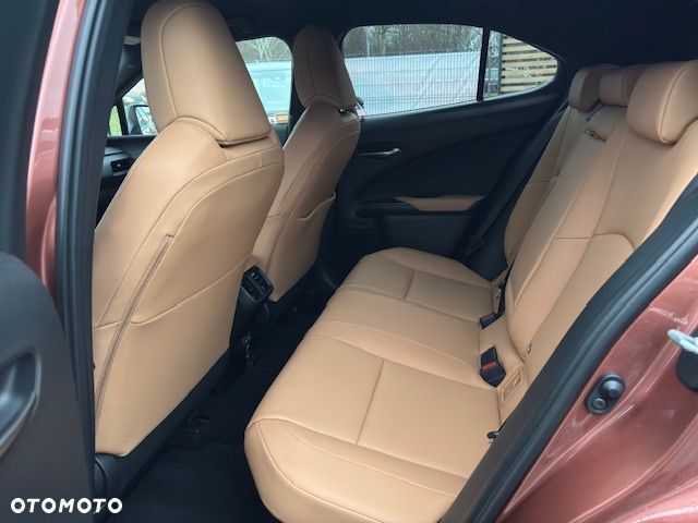 Lexus UX 300h F Sport Design AWD - 14