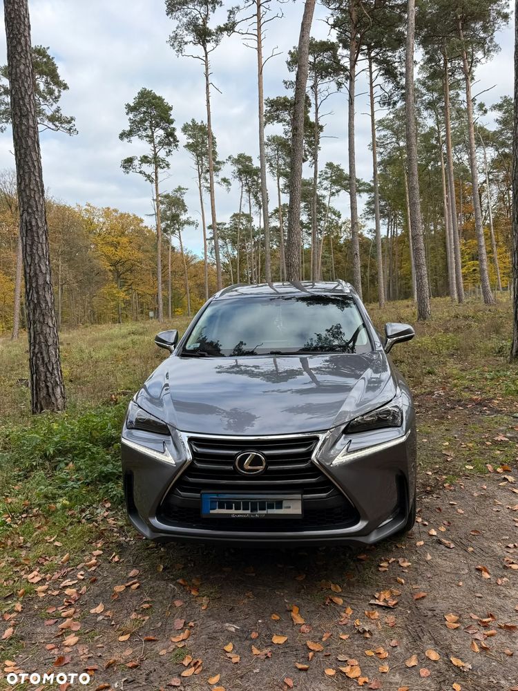 Lexus Nx 2017 photo 2