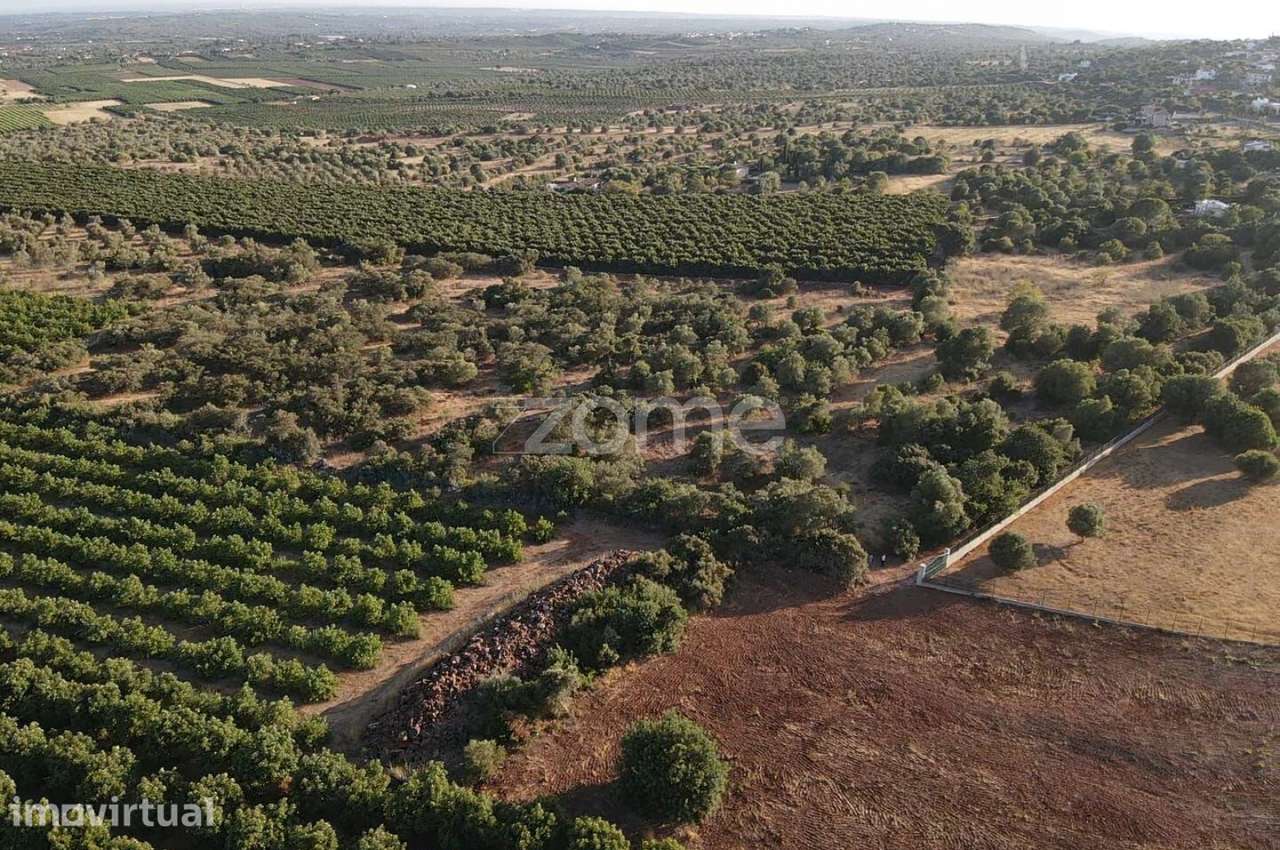 Terreno Rústico em Barrocal das Cortes c/ 16.000m2, Messines - Grande imagem: 5/17