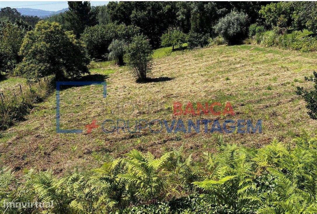 Terreno Rustico em Vila Nova de Poiares - Grande imagem: 3/11