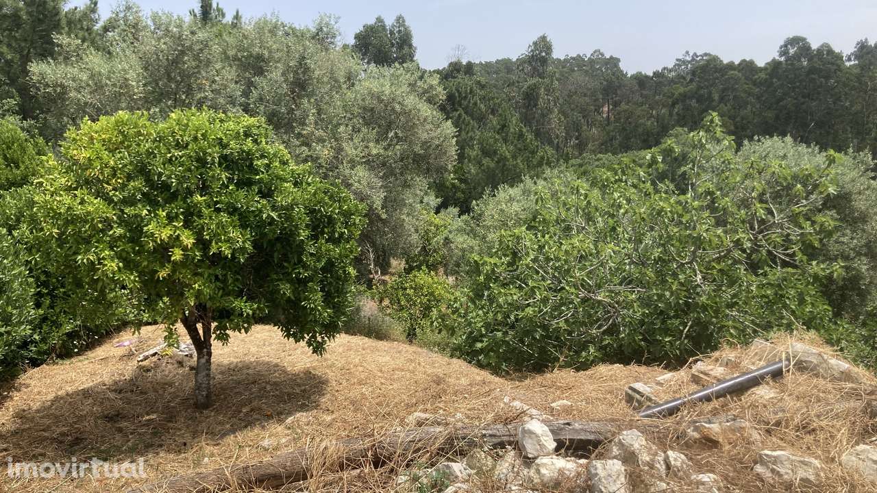 Moradia para Investimento - Grande imagem: 2/12