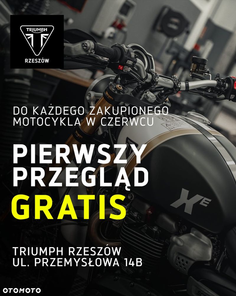 Triumph Tiger - 2