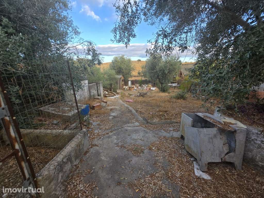 Duas Moradias com Quintal, perto da Praia Fluvial Azenhas d'El Rei - Grande imagem: 4/20