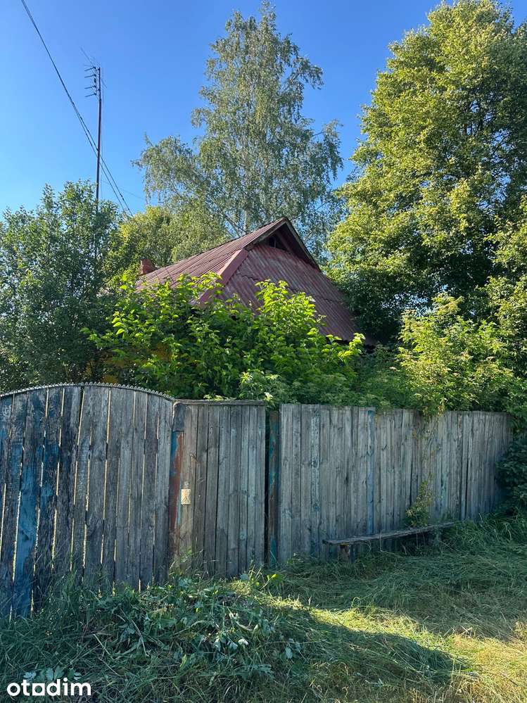Будинок на великій ділянці біля річки та лісу - Повне зображення: 4/12