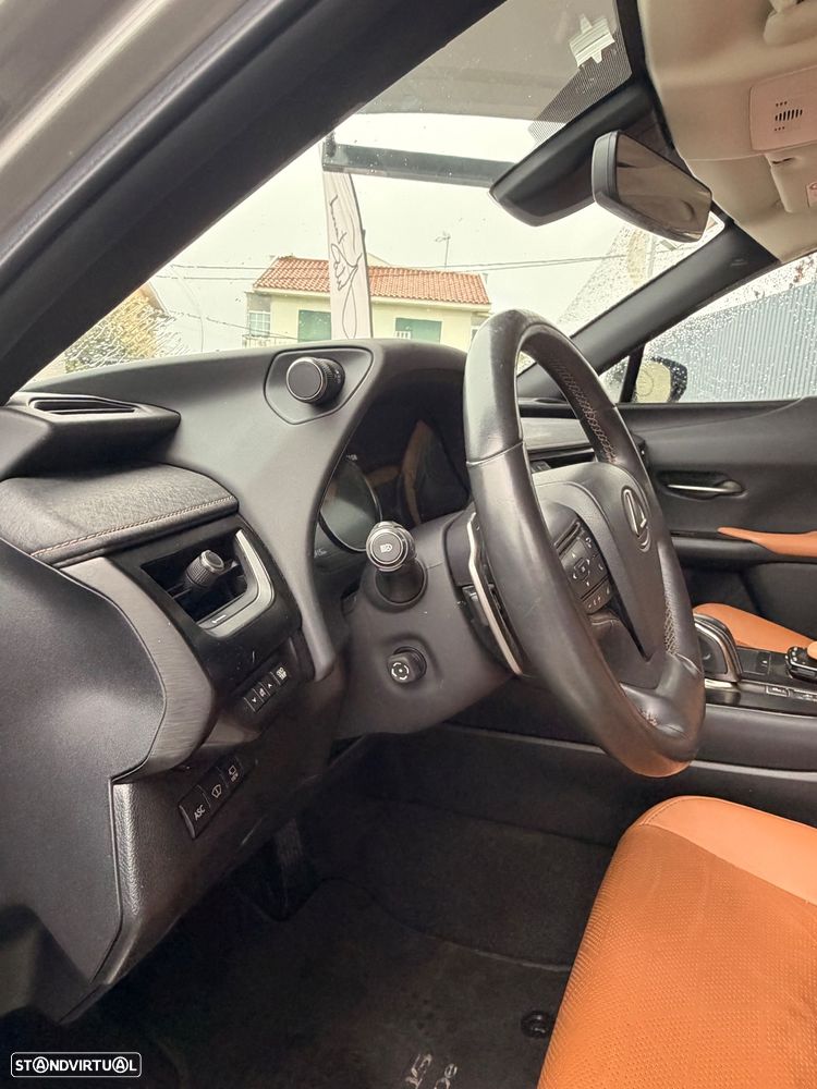 Lexus UX 300e - 16