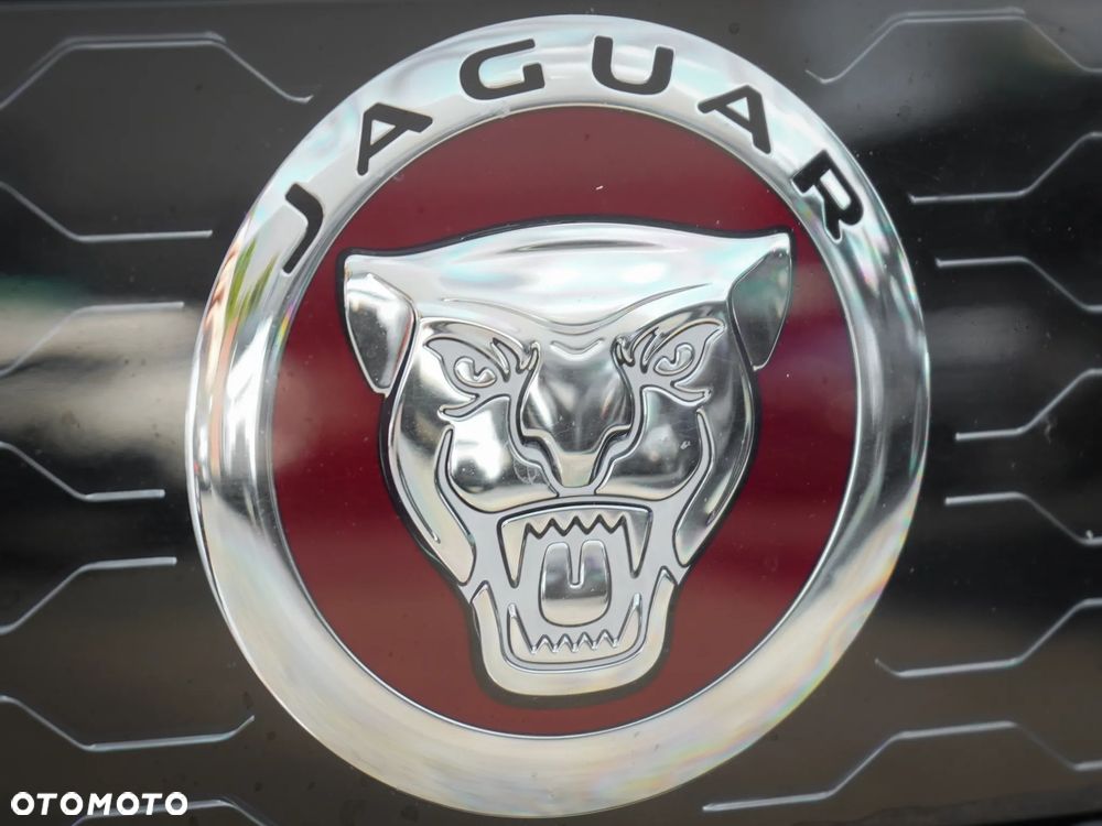 Jaguar F-Pace 5.0 V8 S/C AWD SVR - 5