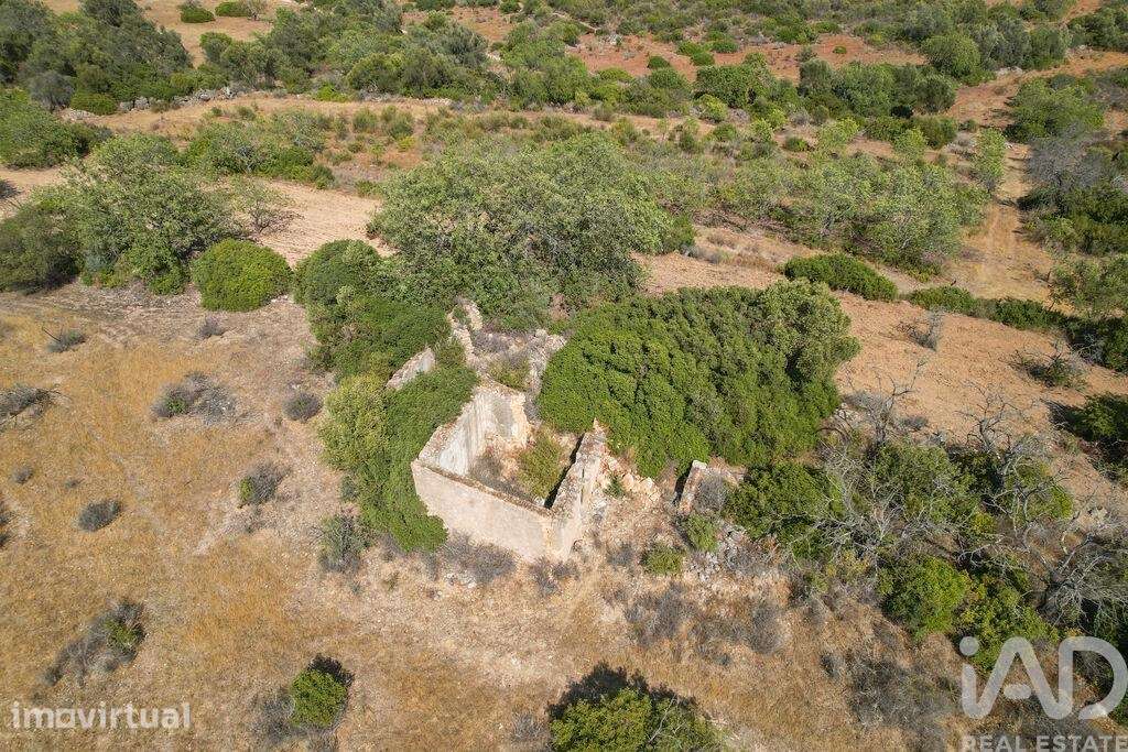 Terreno T3 em Santa Bárbara de Nexe de 214,00 m2 - Grande imagem: 4/17