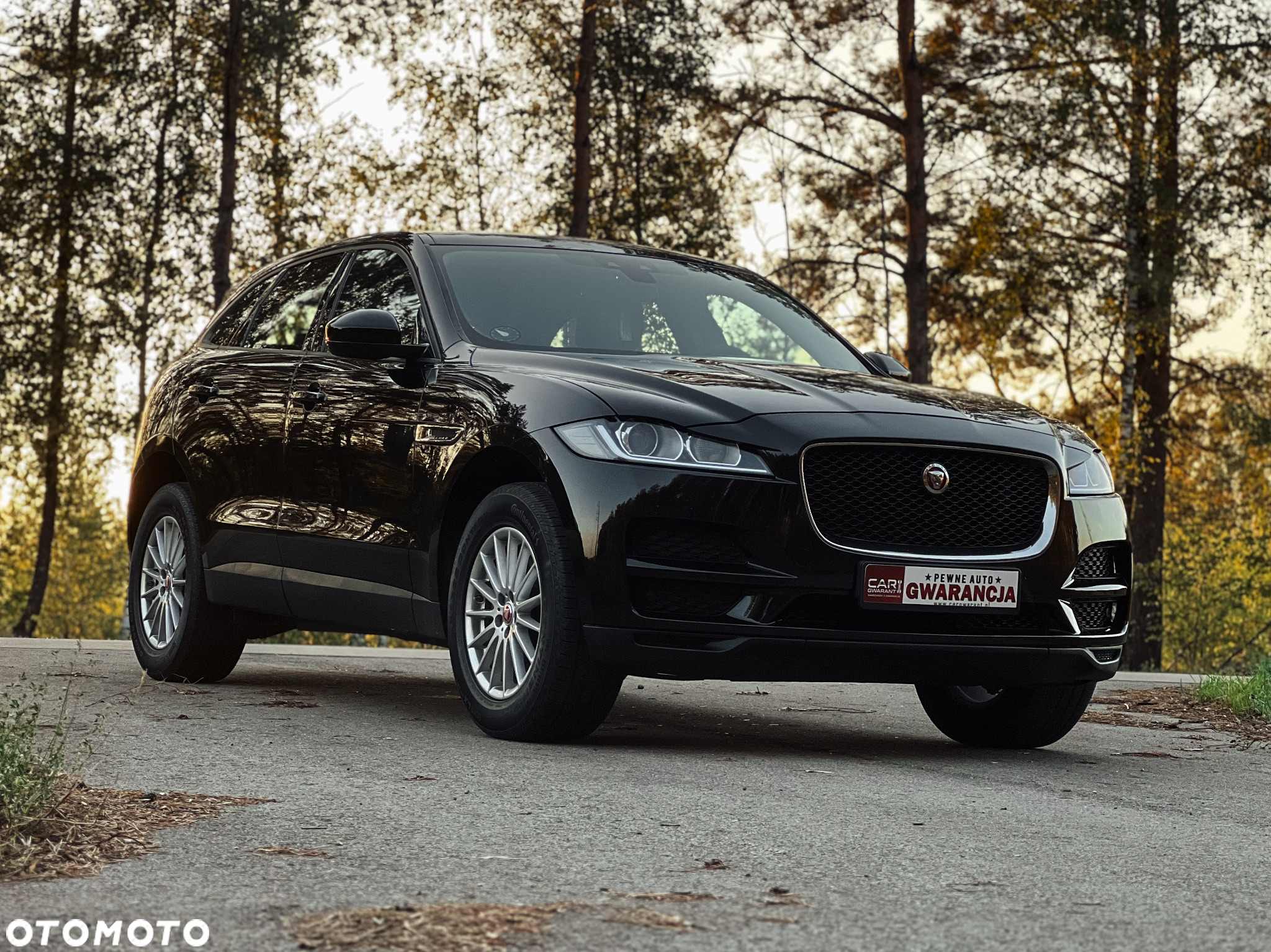 Jaguar F-Pace 20d AWD Prestige - 2